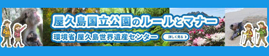 屋久島ルール