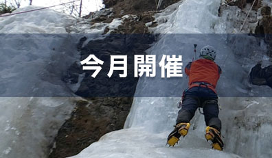 今月開催