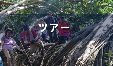 ツアー