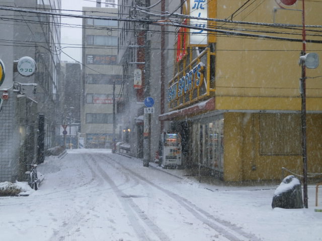 【大宮店】　雪が積もってきました。