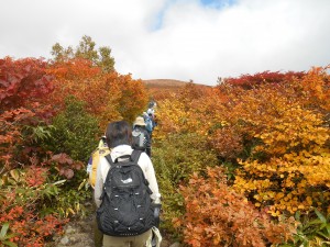 仙台登山学校実践講習”栗駒山から秣岳縦走…