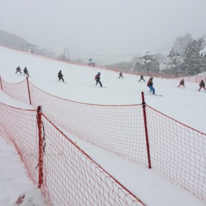 全日本スキー技術選手権大会　本選